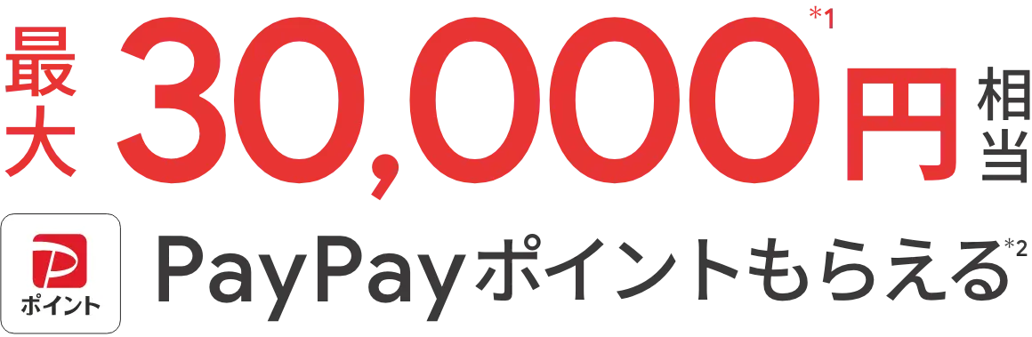 最大30,000円相当 PayPayポイントもらえる